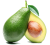 Avocado (Butter Fruit)