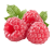 Respberry