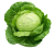 Cabbage (Gobhee)